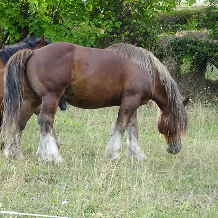 La Varga Pembes
